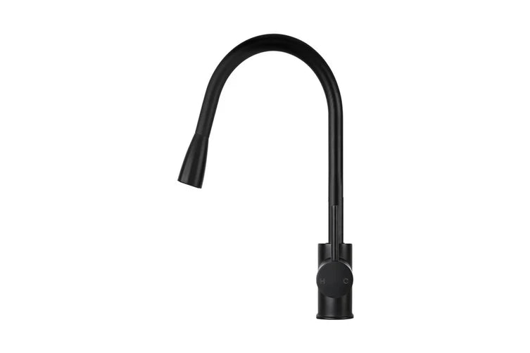 Black kitchen faucet