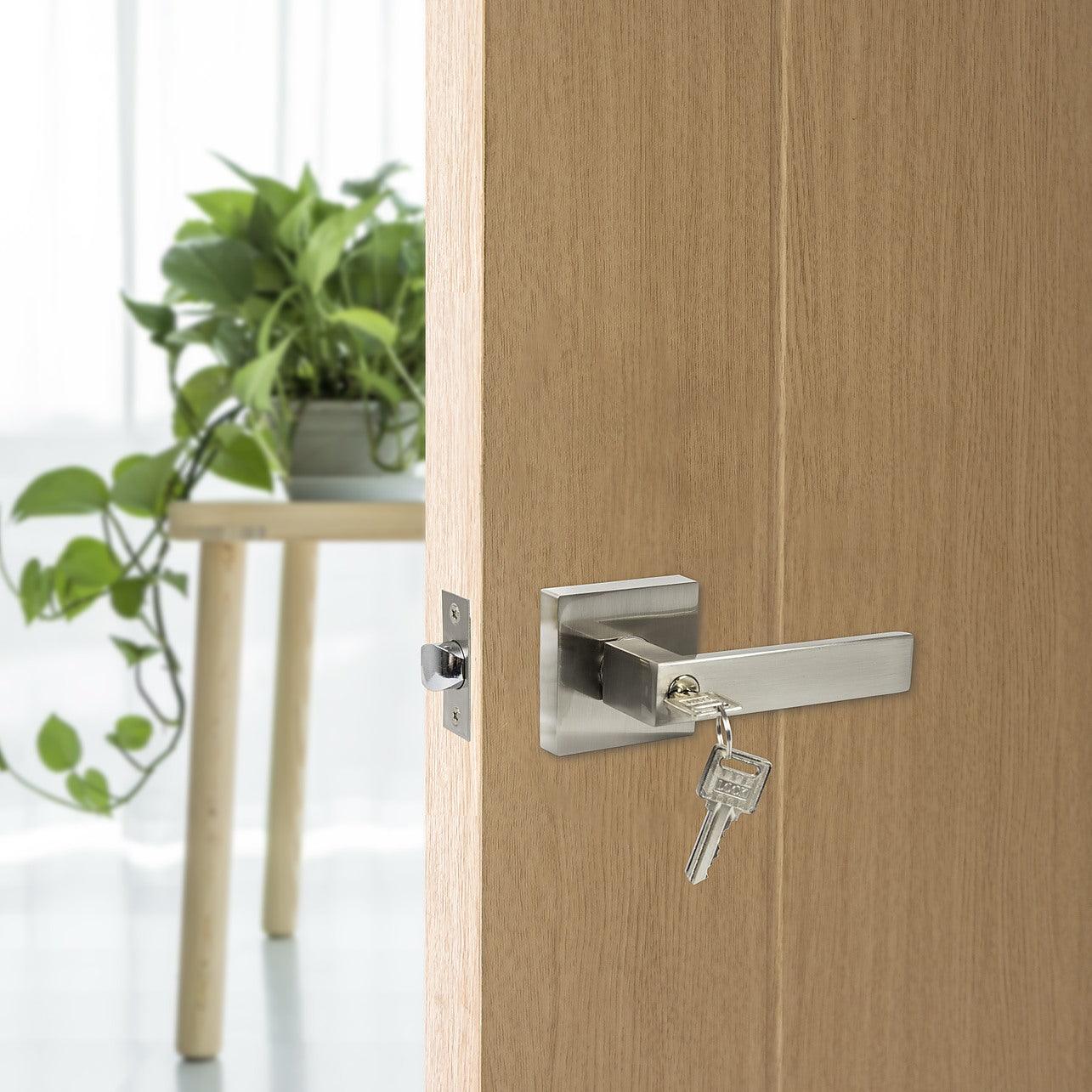 Wooden door with a silver handle and key, plant in the background